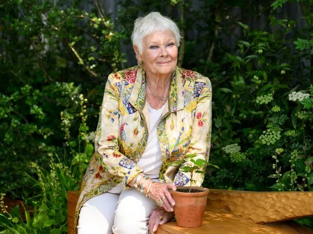 Judi Dench